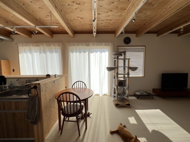 同じ部屋に横並びのカーテンとブラインド