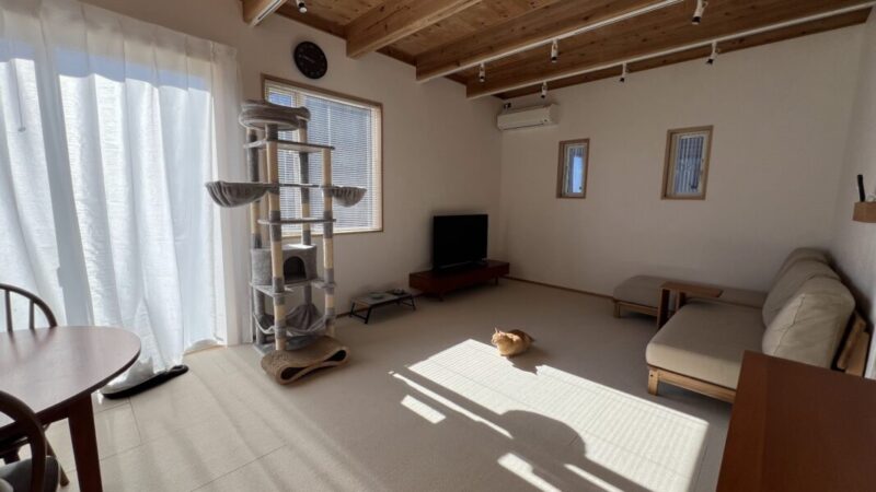 同じ部屋にカーテンとブラインド