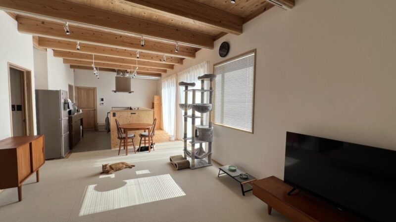 吐き出し窓と腰窓のあるリビング